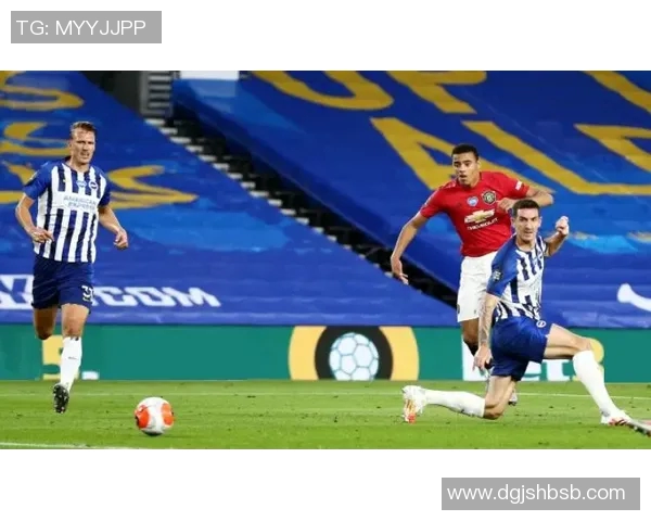 运动专访陈磊揭秘飞盘运动成功背后的秘诀与发展潜力