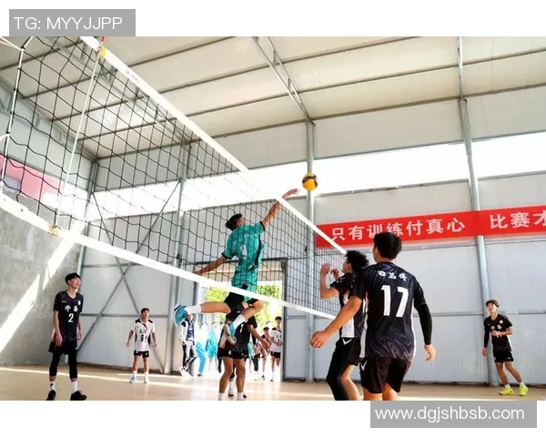 运动最新数据从零基础到高手排球力量训练全方位指南与技巧分享 运动最新数据从零基础到高手排球力量训练全方位指南与技巧分享